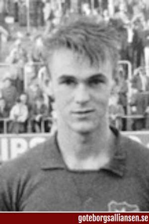 Vilgot Schwartz